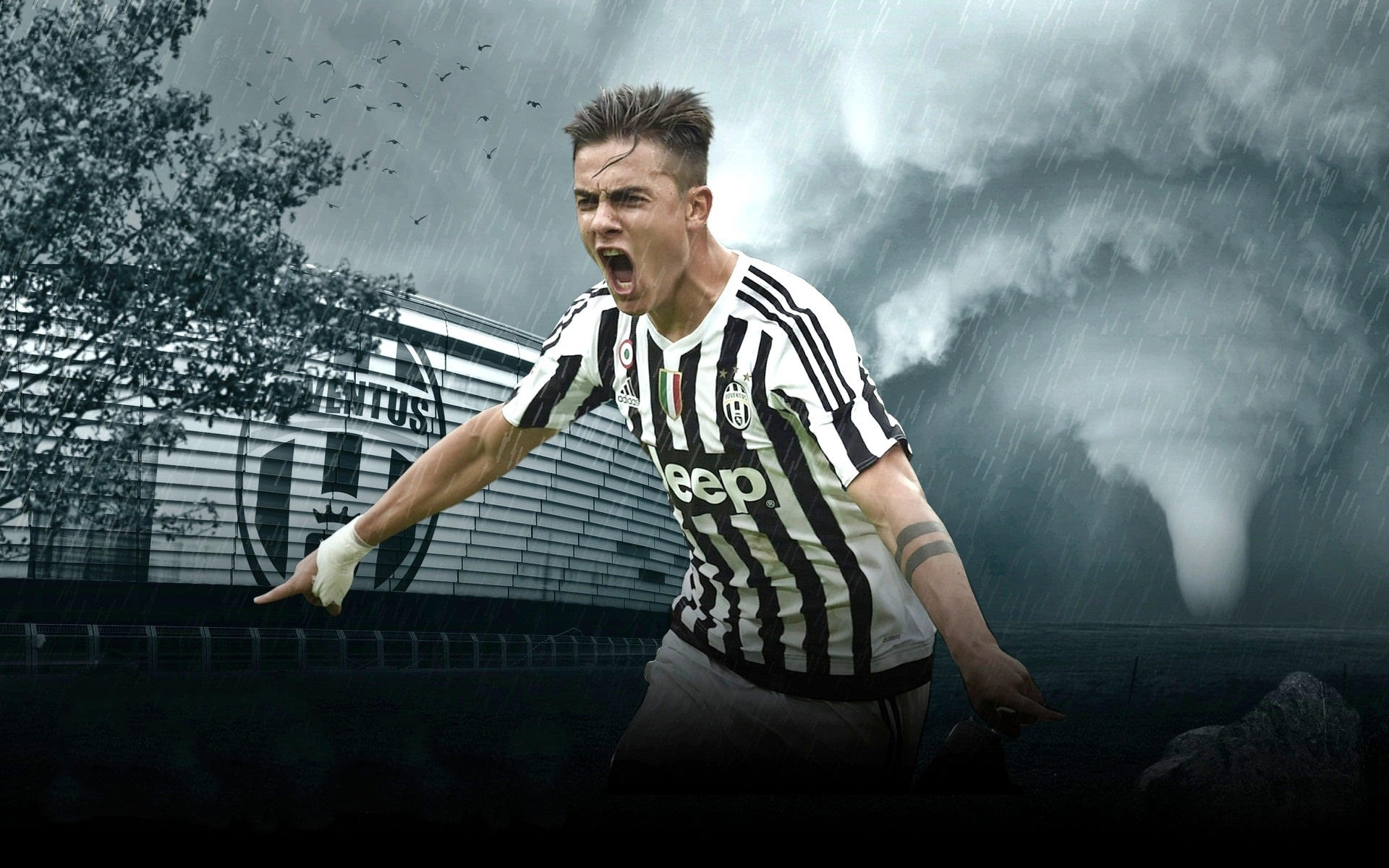 津媒：新鹏城新帅陈涛近期会去英国城市足球集团总部交流学习